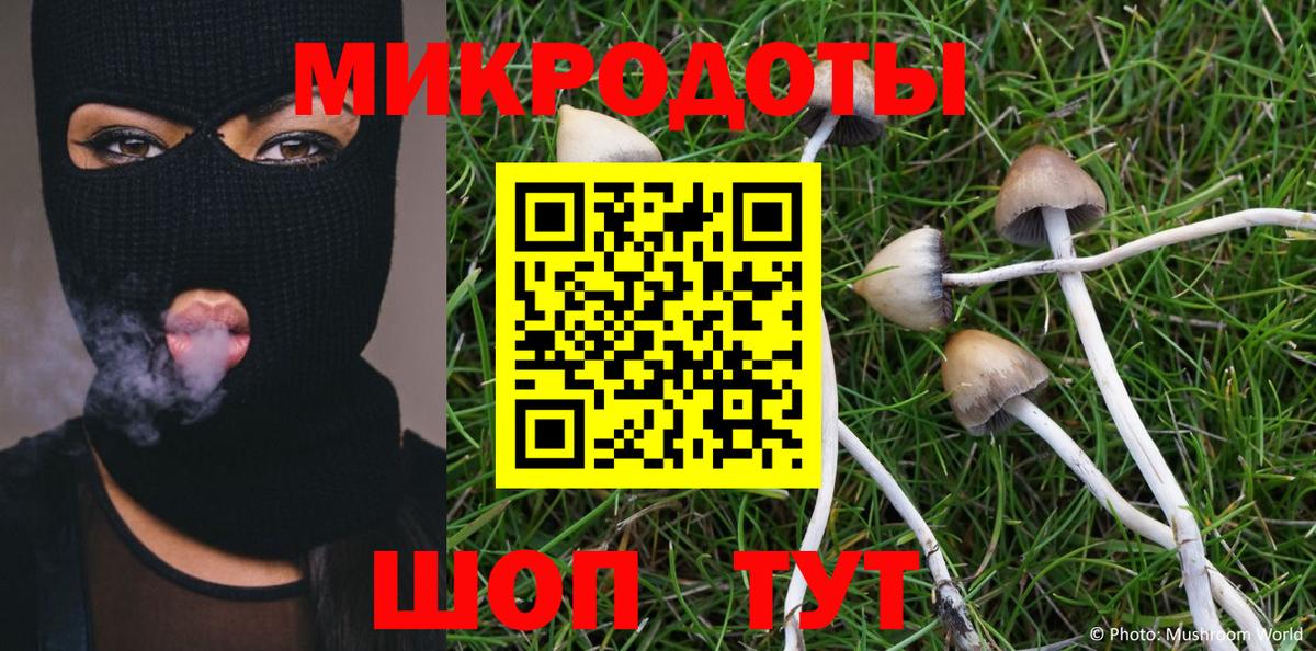 Псилоцибиновые грибы MAGIC MUSHROOMS  Вход с VPN  Мичуринск 